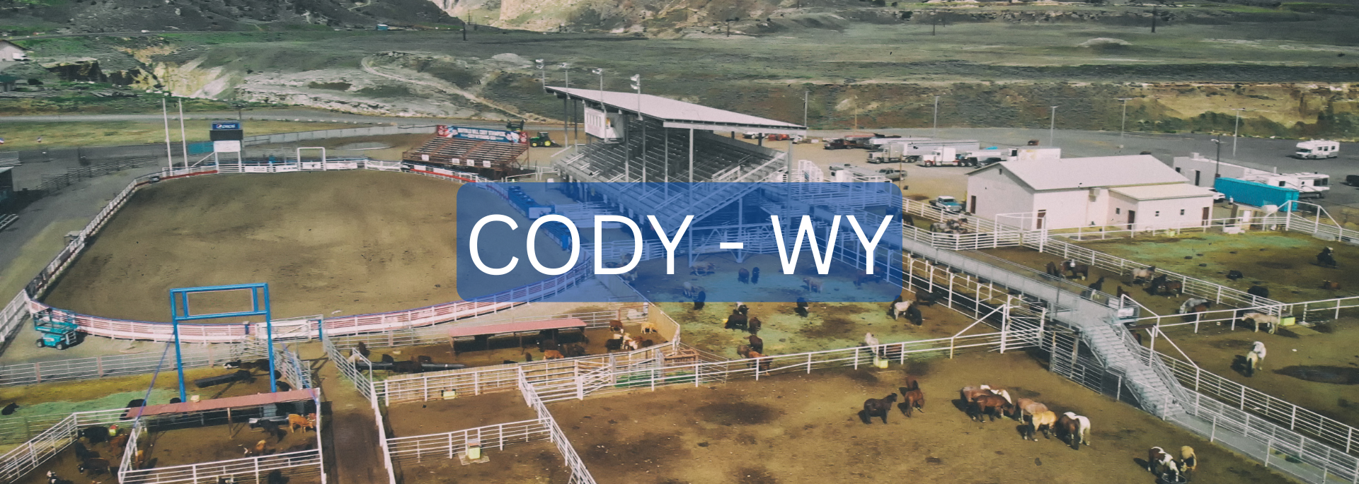CODY - WY