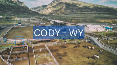CODY - WY 