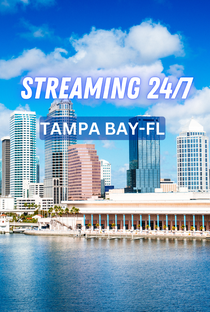 Tampa Bay FL 24/7 Live Channel