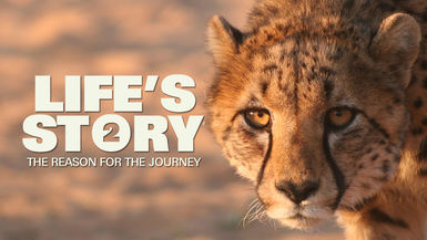 Life's Story Part 2