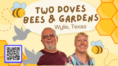 TDBG17-North Texas Garden Tour  A Look at the February Garden - Two Doves Bees and Gardens