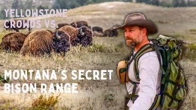 LITW145- Yellowstone Crowds vs. Montana’s Secret Bison Range  -  Life in the West