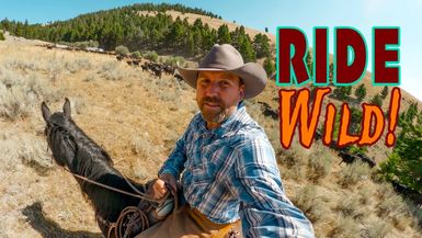 LITW129-INSANE Cowboy Life! DANGEROUS Cattle Drive in Wild Mountains! - Life in the West