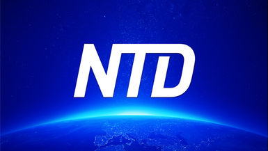 NTD TV