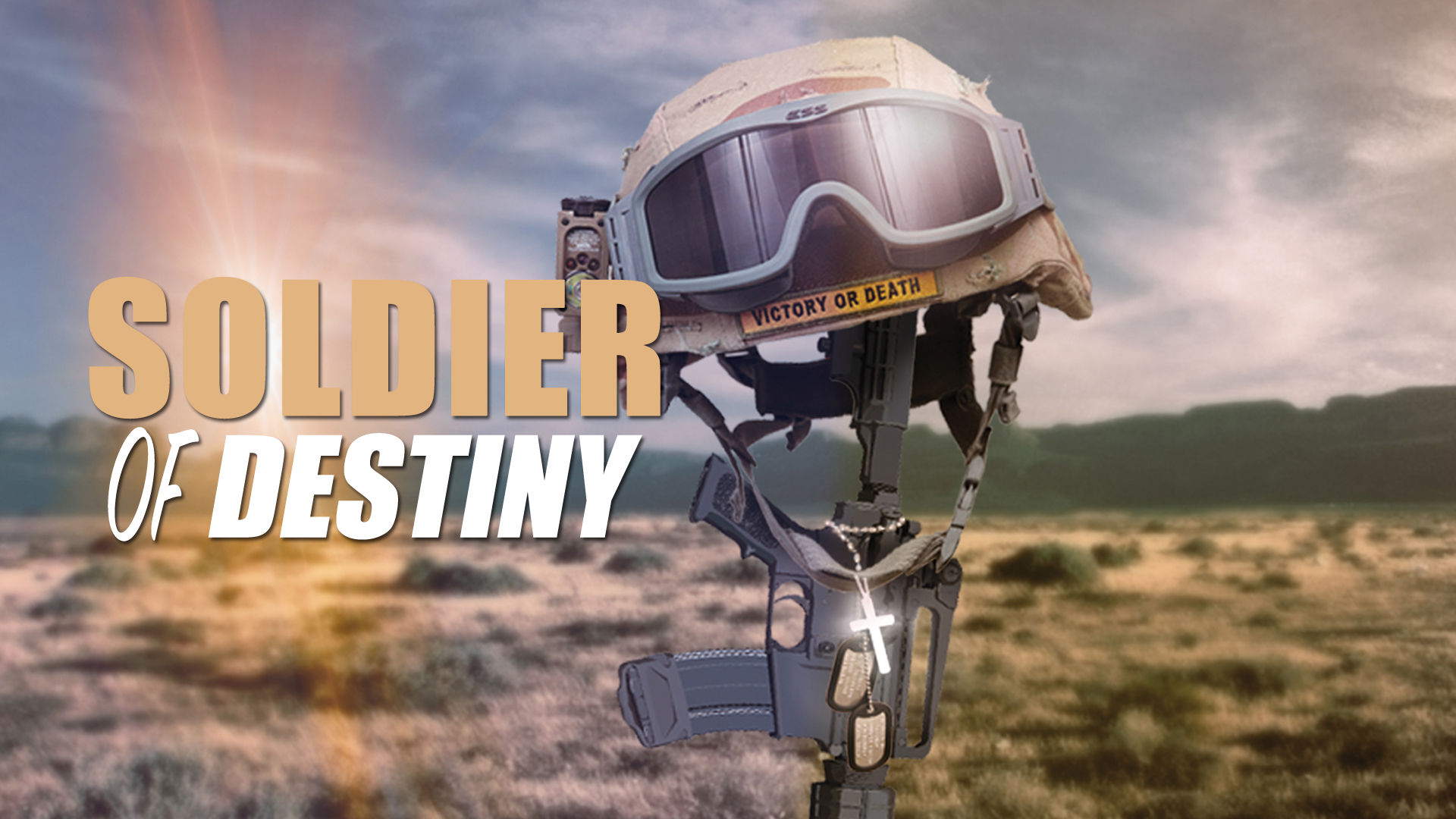 Soldier of Destiny