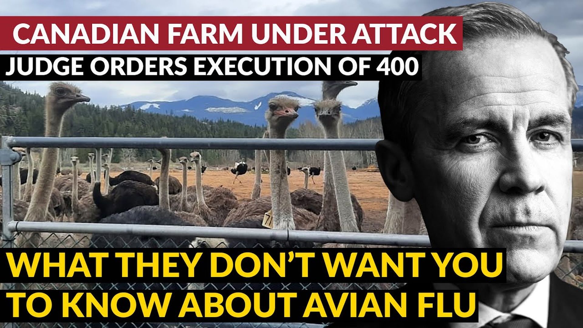 AMT374- UNDER ATTACK | Judge Orders Canadian Farm Execution- As A Man Thinketh