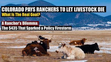 AMT388-Colorado Pays Ranchers To Let Livestock Die—What Is The Real Goal? - As A Man Thinketh