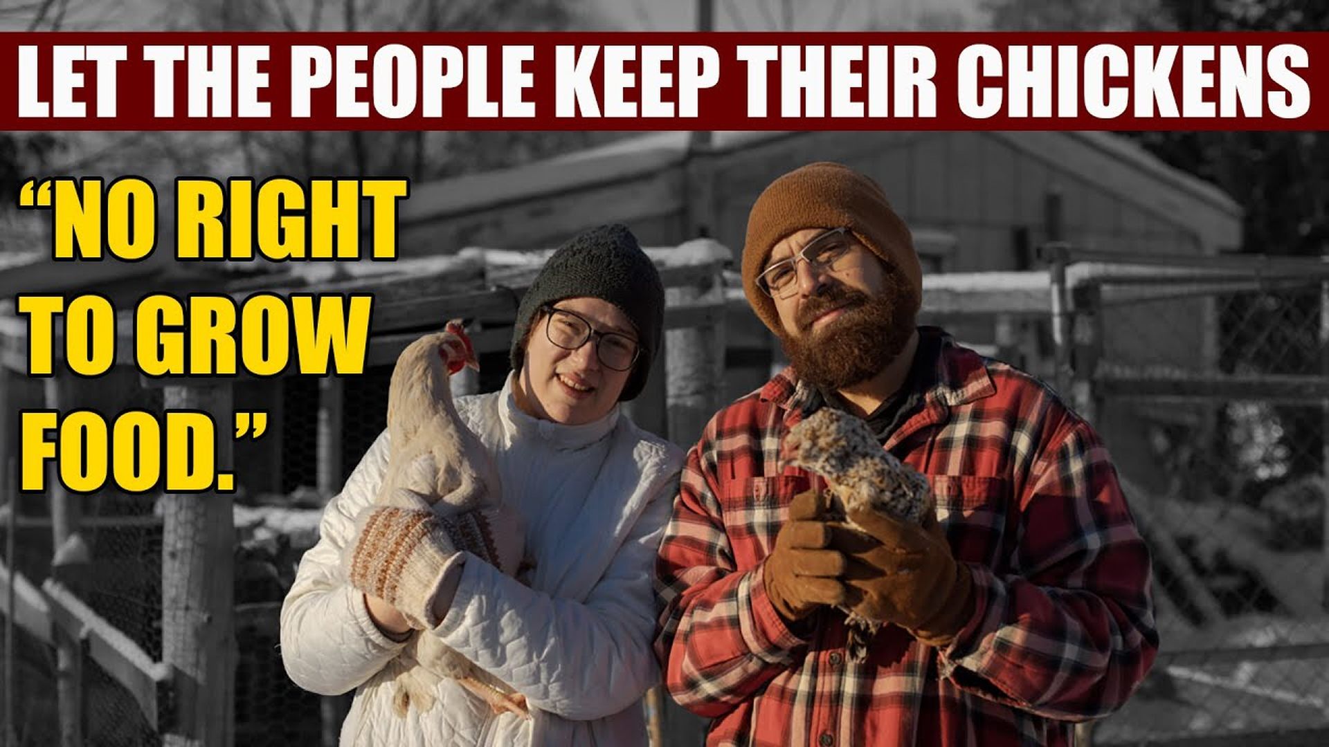 AMT432- LET THE PEOPLE KEEP THEIR CHICKENS! | "You don't have a RIGHT to grow food." | As a Man Thinketh