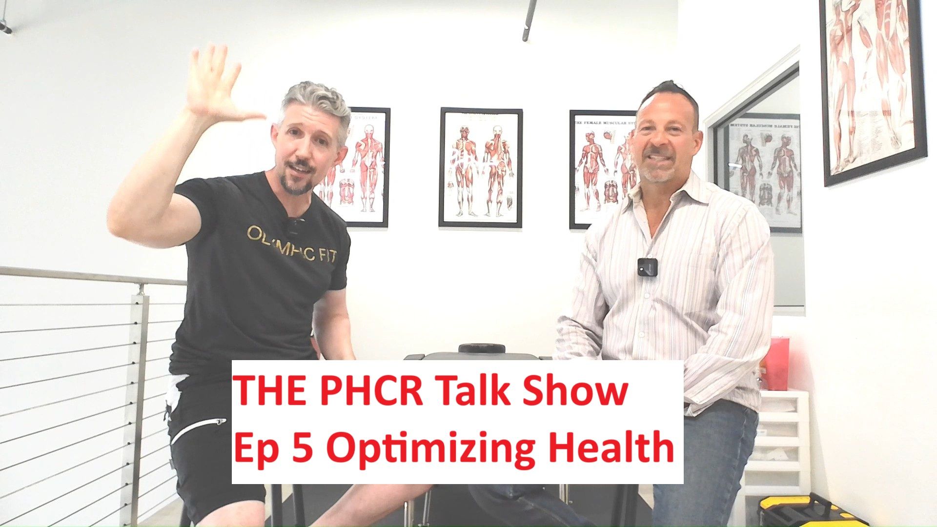 PHCR5- Optimizing Health - Personal Health Care Reform