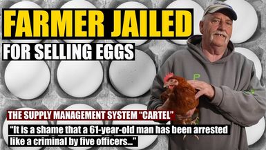AMT395-Farmer Jailed For Selling Eggs "Arrested Like A Criminal" by Supply Chain "Cartel" | As a Man Thinketh