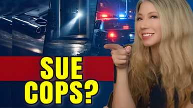 AA81 - .22 Self-Defense, Agg Assault by Police, Flock Cameras, and More! Armed Attorneys