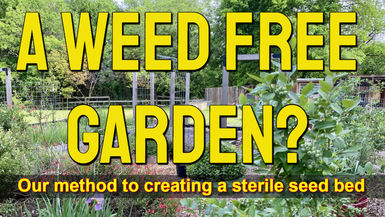 TDBG40-A Weed Free Garden - Two Doves Bees & Gardens