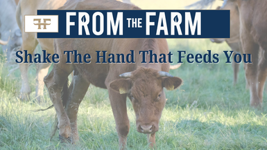 FTF1-A New Farm Plan For America - From The Farm