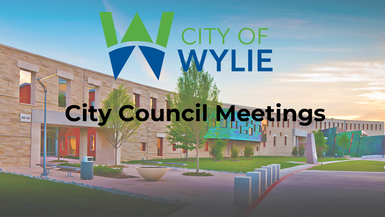 Wylie TX City Council Meeting Feb 2025