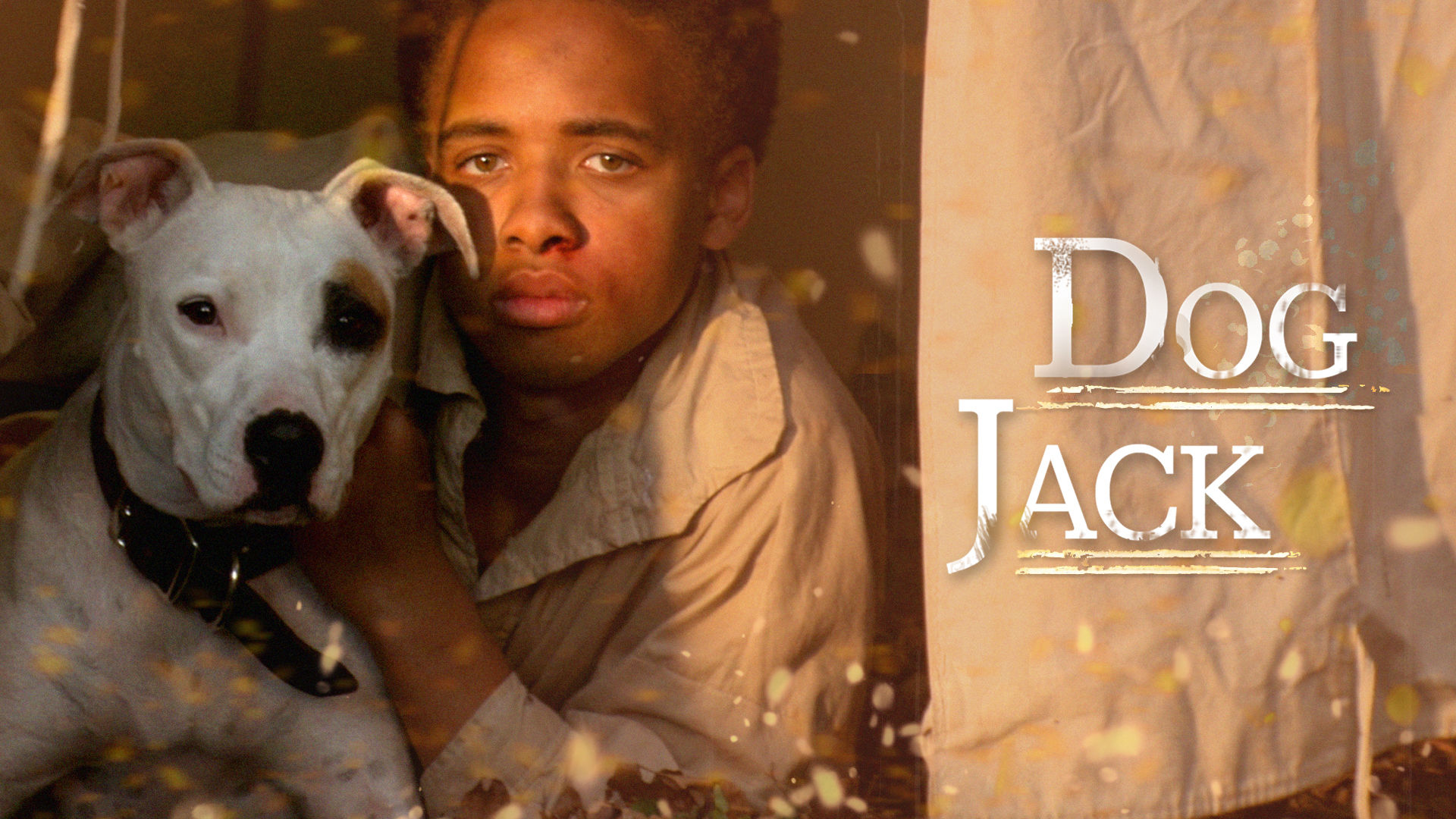 Dog Jack