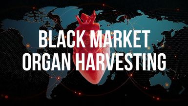 FH46 - Organ Harvesting The Global Black Market They Don’t Want You to See - Forgotten History