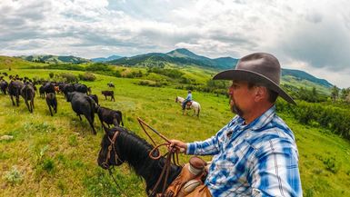 LITW112-A Day in the Life of Modern COWBOYS in MONTANA - What it's Like! - Life in the West