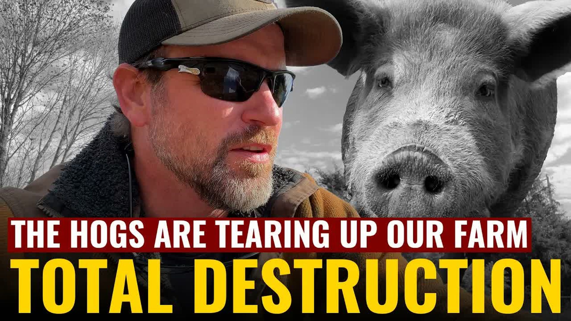 AMT478-TOTAL DESTRUCTION The Hogs Are Tearing Up Our Farm - As A Man Thinketh - Yanasa TV
