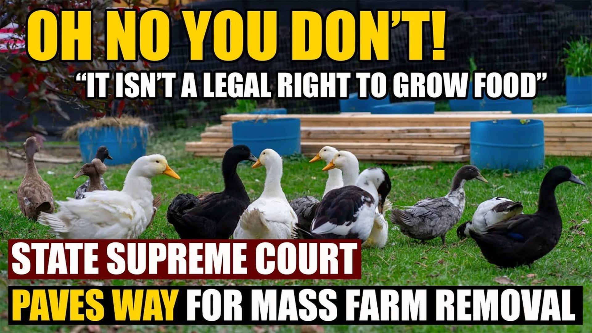 AMT404-Supreme Court Rules Not a Right to Grow Food - Door Wide Open for Small Farm Closures | As a Man Thinketh