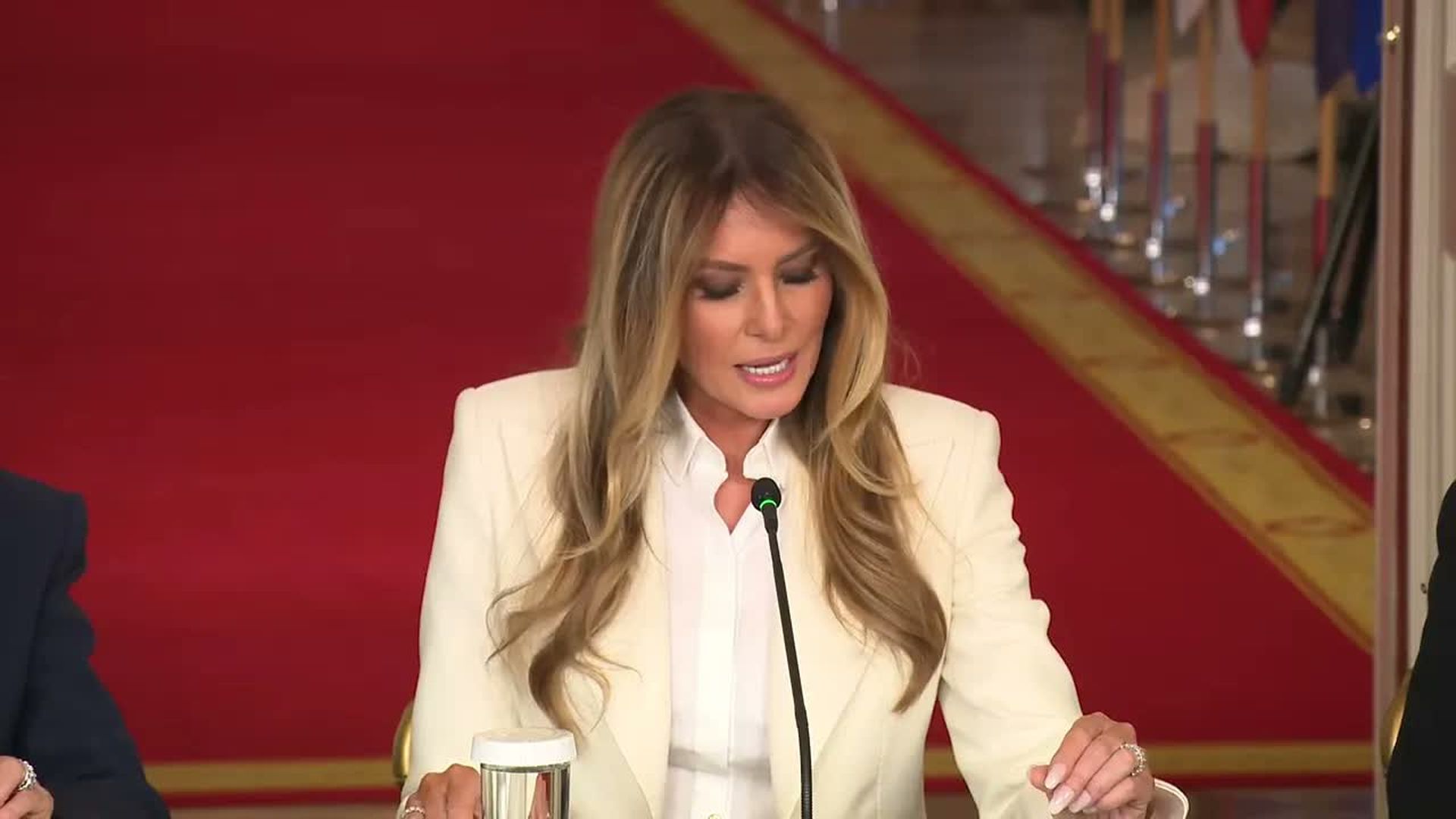 TWH184-First Lady Melania Trump Participates in the Fostering the Future Together Global Coalition Summit - The White House