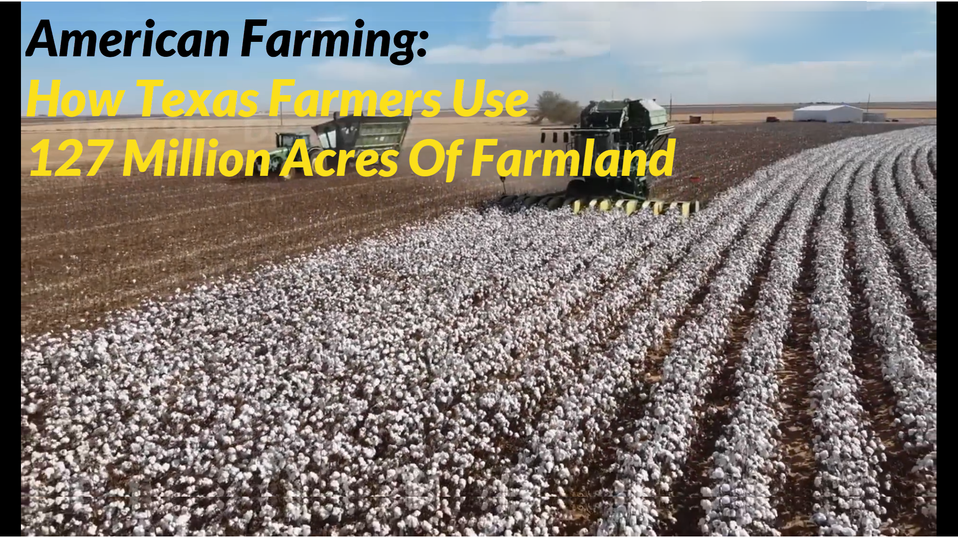 How Texas Farmers Use 127 Million Acres Of Farmland - American Farming Documentary