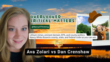 OCM14 - Ava Zolari For Congress - Overlooked Critical Matters