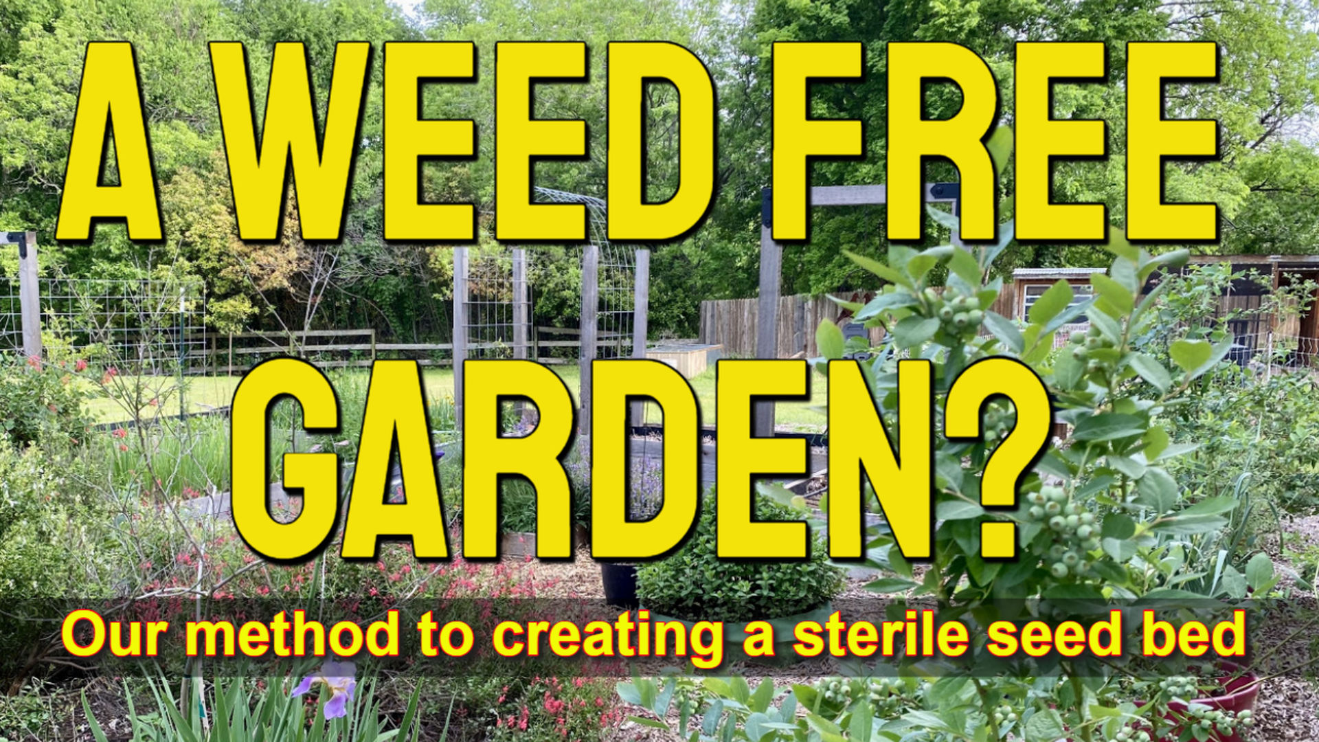 TDBG40-A Weed Free Garden - Two Doves Bees & Gardens