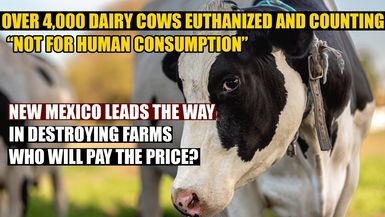 AMT396-Over 4,000 Cattle Euthanized in New Mexico and counting... NOT FOR HUMAN CONSUMPTION| As a Man Thinketh