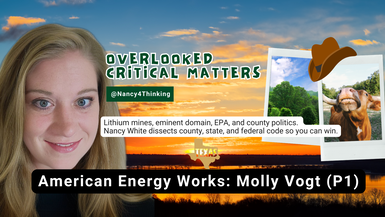 OCM24 - Molly Vogt_ American Energy Works P1 Overlooked Critical Matters