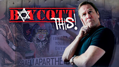 Boycott This - Brad Stein