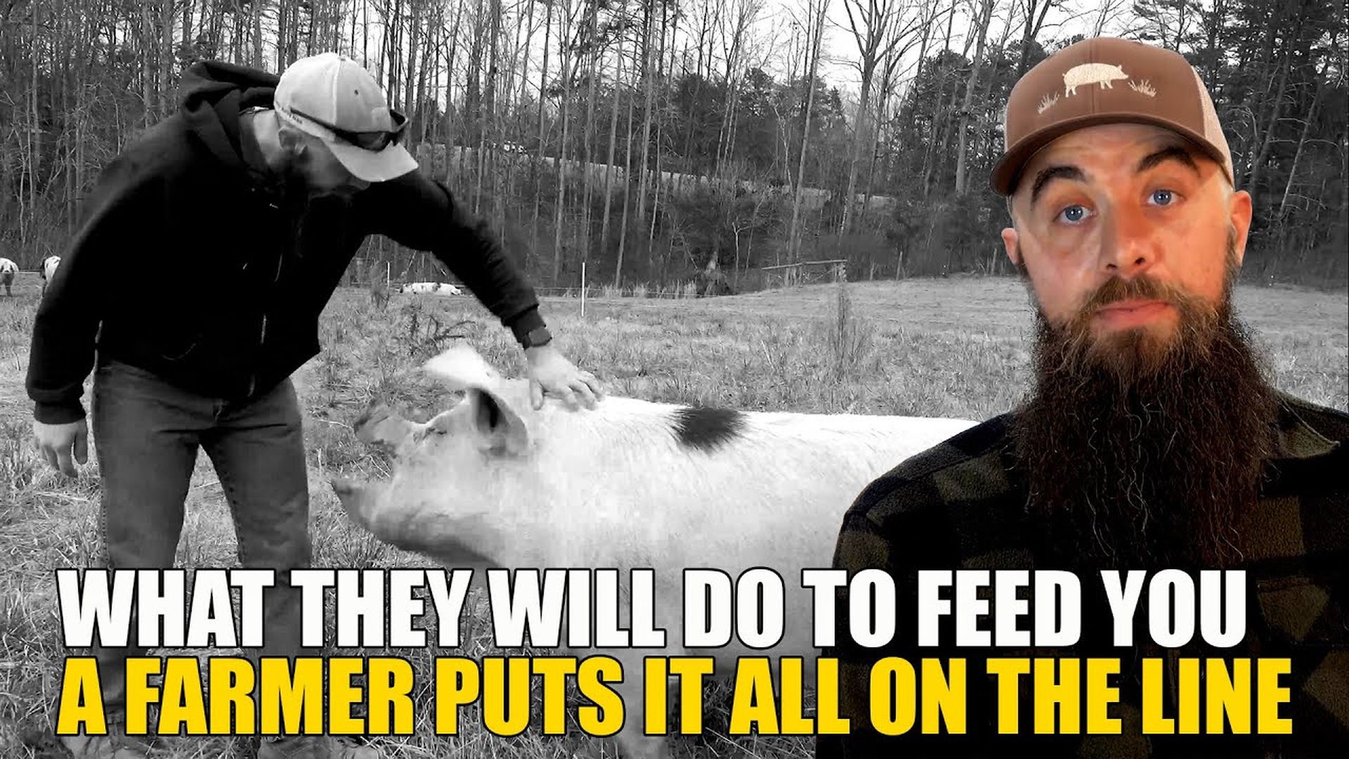 AMT428- WHAT THEY WILL DO TO FEED YOU | As a Man Thinketh