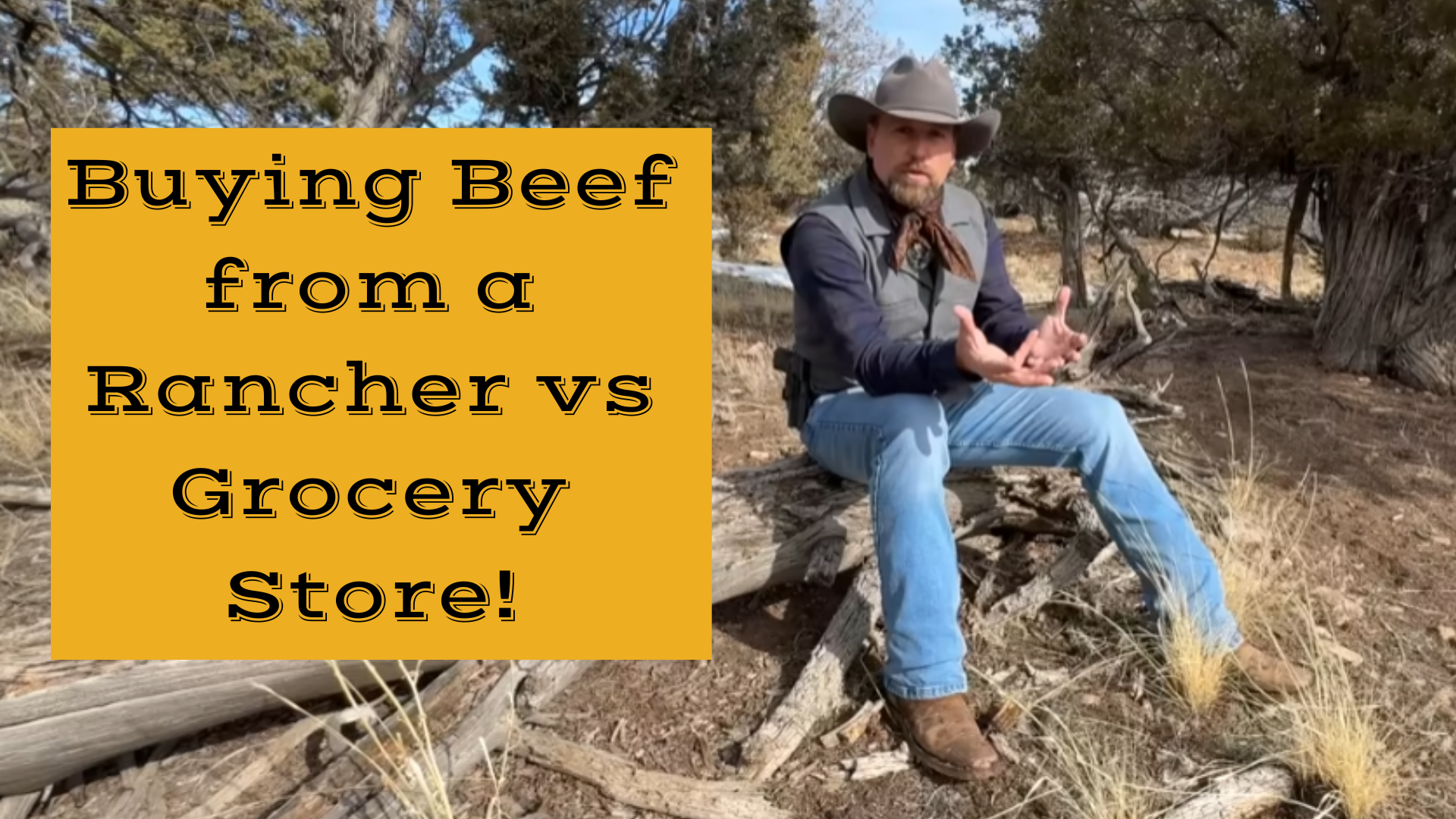 LITW86-Buying Beef from a Rancher vs Grocery Store!- Life in the West