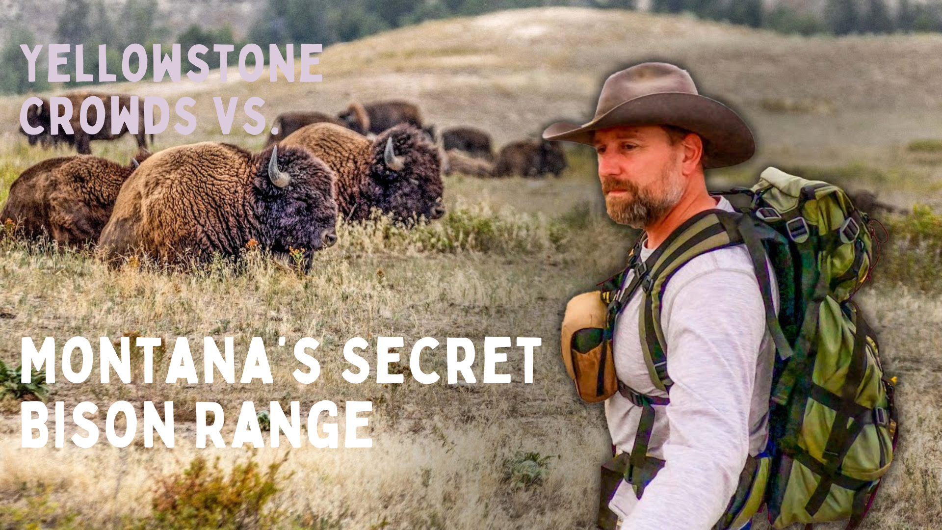LITW145- Yellowstone Crowds vs. Montana’s Secret Bison Range  -  Life in the West