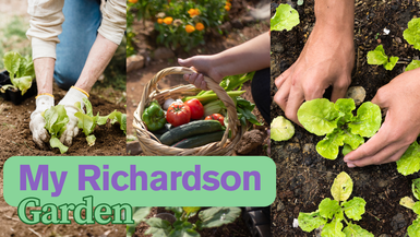 MRG3- Seed Starting In Your Window! My Richardson Garden