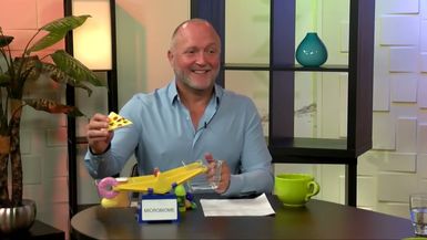 KTC1-Fungus & Pain, NSC Gut Health w Mark Campbell, Greg Emerson, Erin Porter - Know The Cause