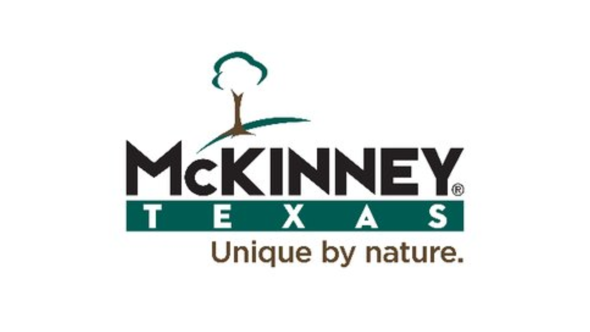 2025 McKinney TX - Local Government 