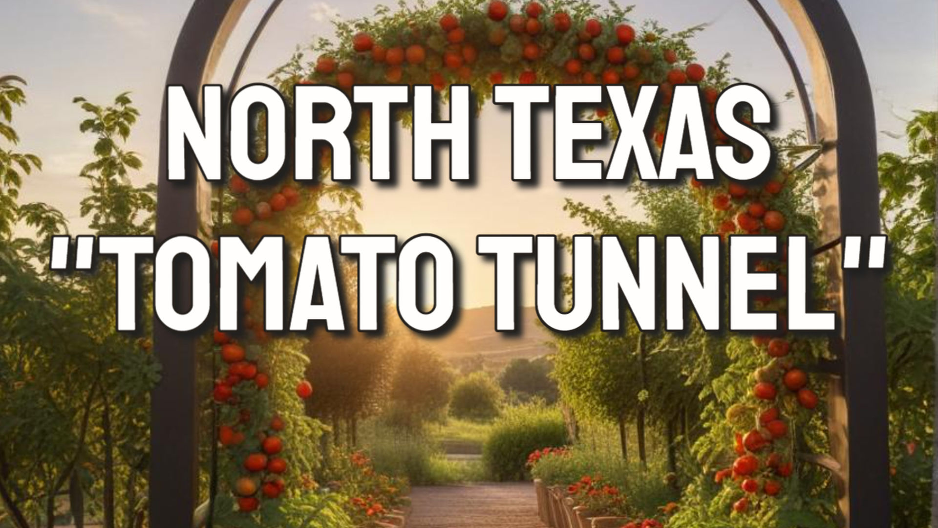 TDBG38-North Texas Tomato Tunnel - Two Doves Bees & Gardens