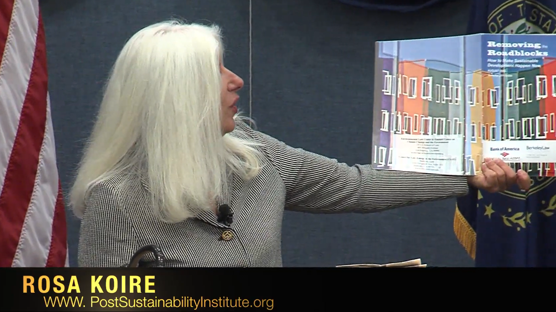 Rosa Koire, Behind The Green Mask, Part 4 of 5