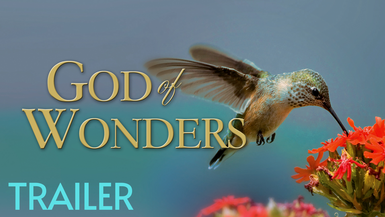 Trailer-God of Wonders