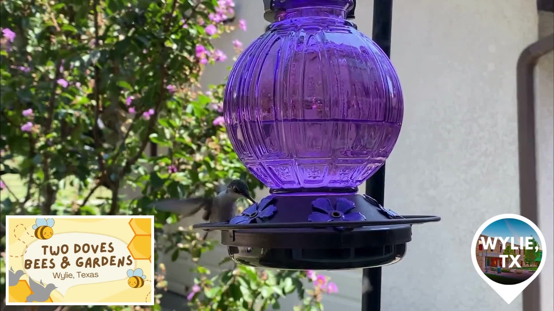 Promo - Lifestyle Topics on Hyper Local Channels