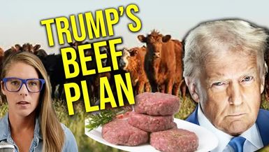 AM15-The beef with Trump s beef plan Joel Salatin - Alison Morrow