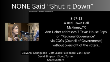 Ann Lieber Quizzes North Texas Legislators On Regional Government