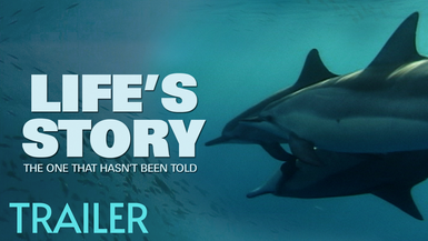 Trailer-Life's Story