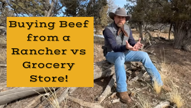 LITW86-Buying Beef from a Rancher vs Grocery Store!- Life in the West