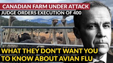 AMT374- UNDER ATTACK | Judge Orders Canadian Farm Execution- As A Man Thinketh