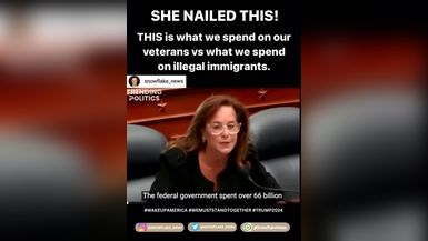 Shorts-US Rep. Lisa McClain questions witnesses on the immigration crisis