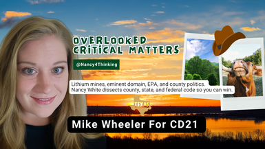 OCM23 - Meet Mike Wheeler Candidate For CD21 - Overlooked Critical Matters 