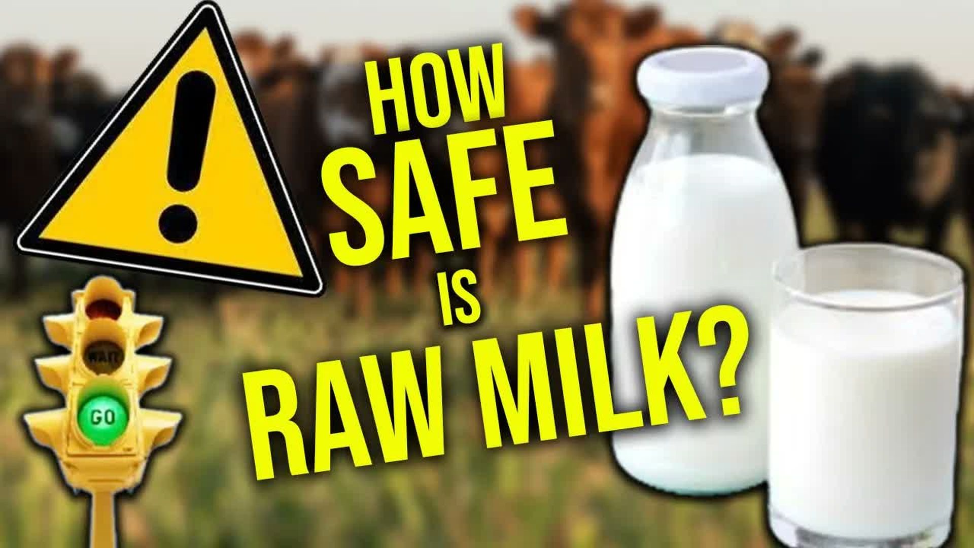 AM14-How safe is raw milk A microbiologist explains Peg Coleman - Alison Morrow
