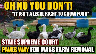 AMT404-Supreme Court Rules Not a Right to Grow Food - Door Wide Open for Small Farm Closures | As a Man Thinketh