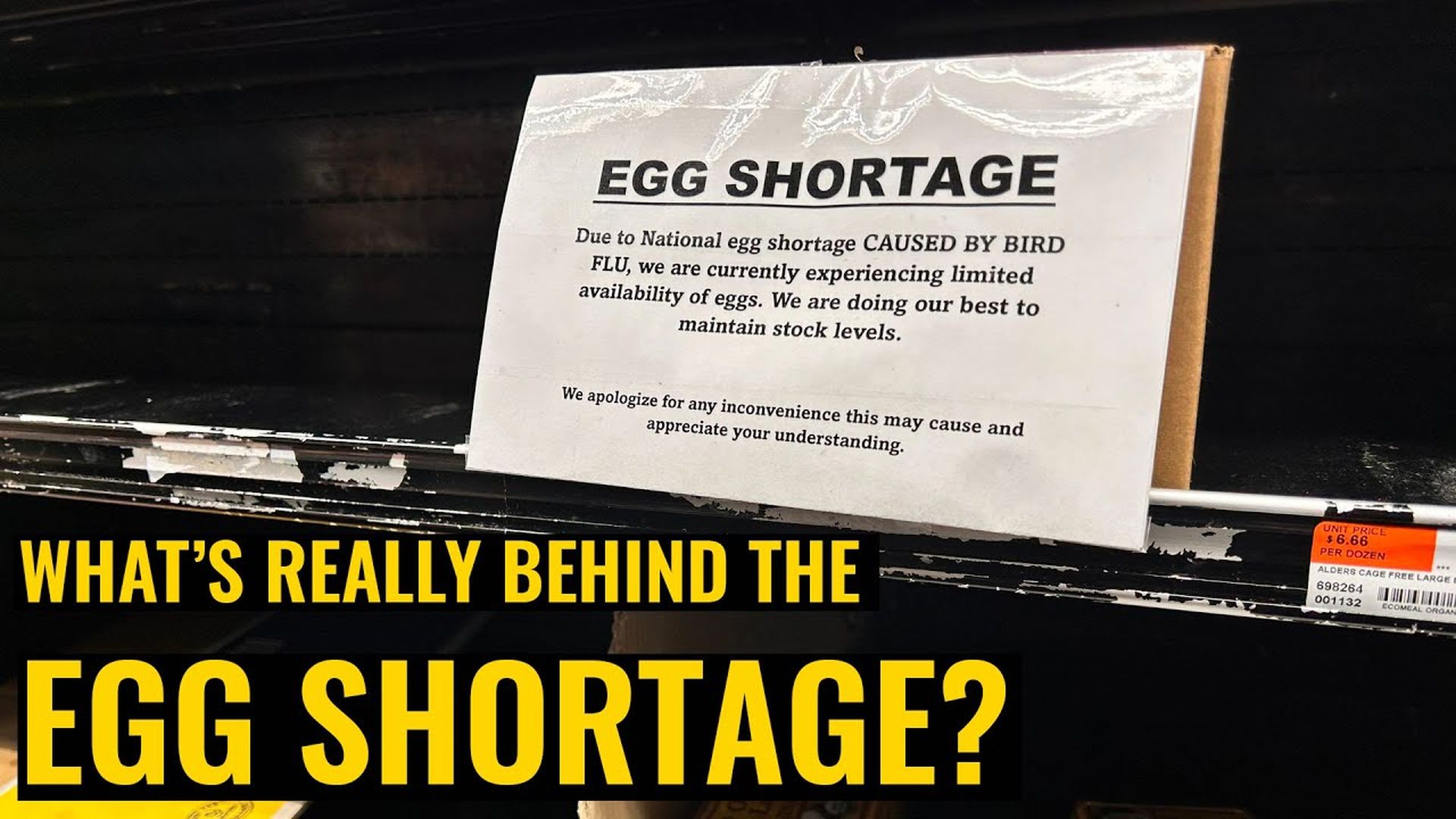 AMT337-EGG SHORTAGE - It's only the beginning - As A Man Thinketh